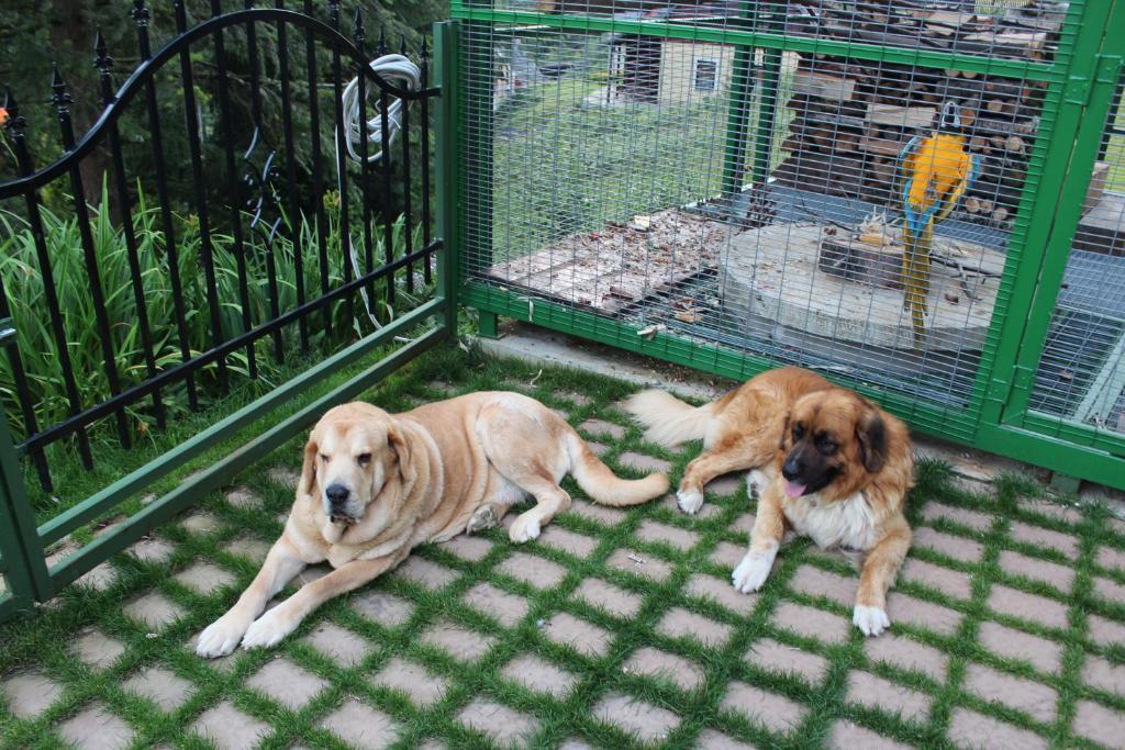 Apartmány a Chalupa Tara Albrechtice v Jizerskych horách Exterior foto